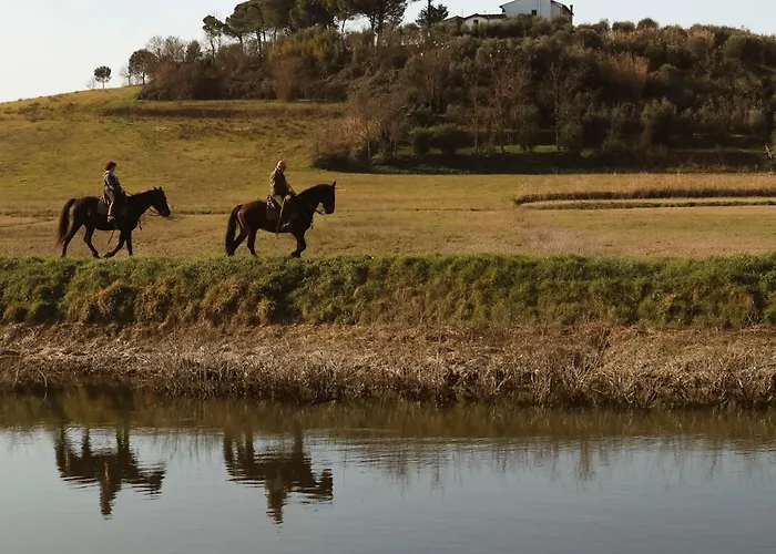 Bed & Breakfast Le Di Sonia Tre Gemme Zaffiro Fucecchio